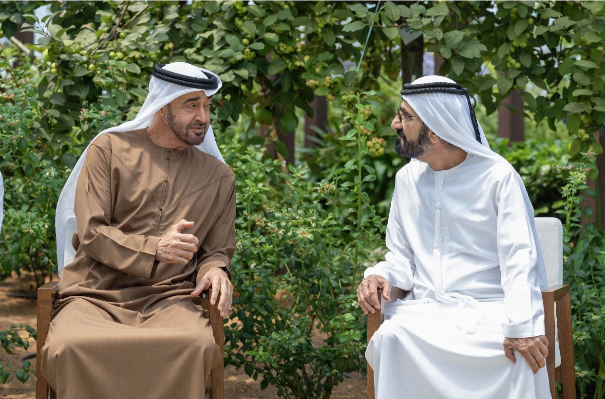 Mohammed bin zayed