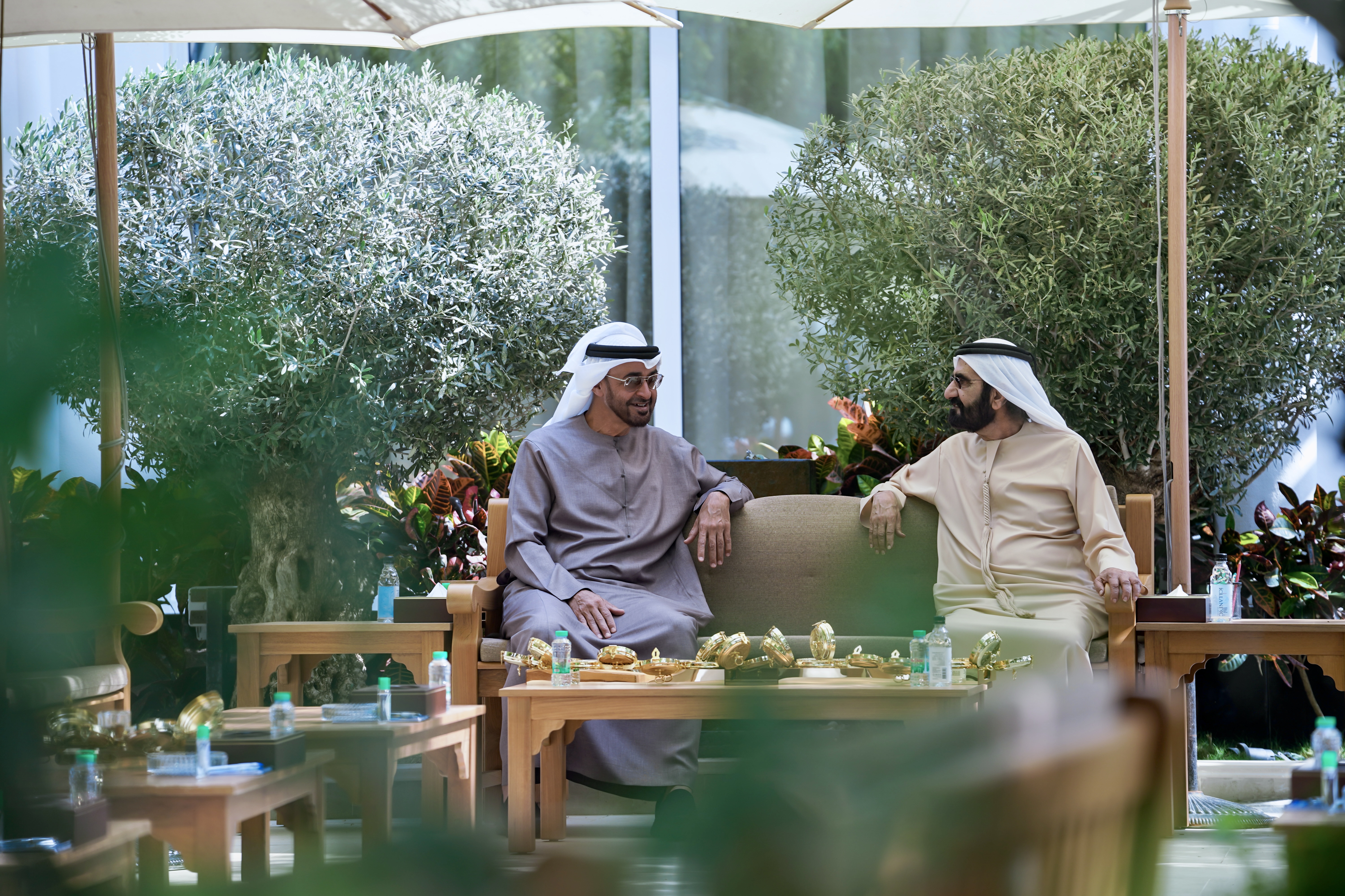Mohammed bin Rashid meets with Mohamed bin Zayed