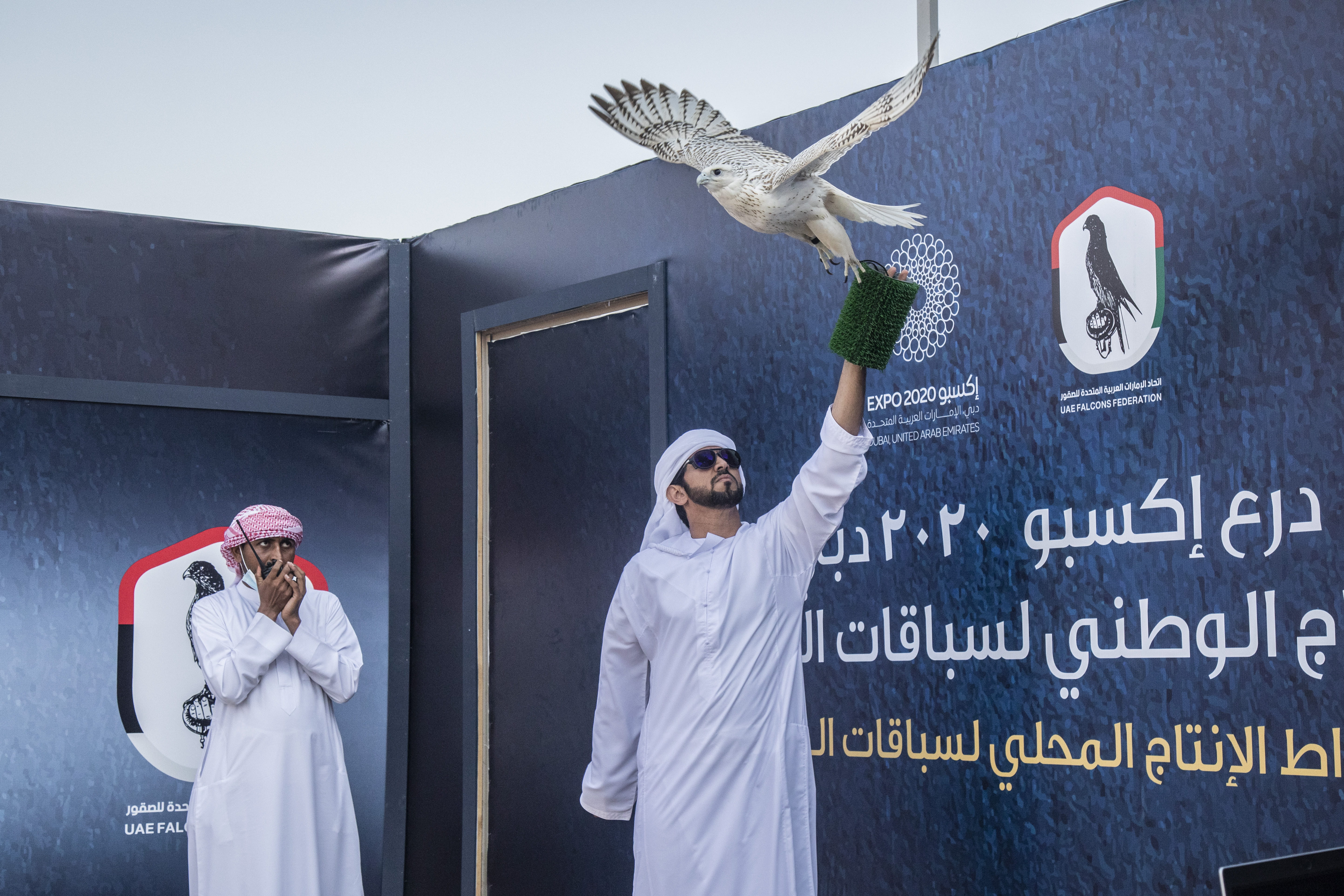 Shield for National Falcon Breeding Championship