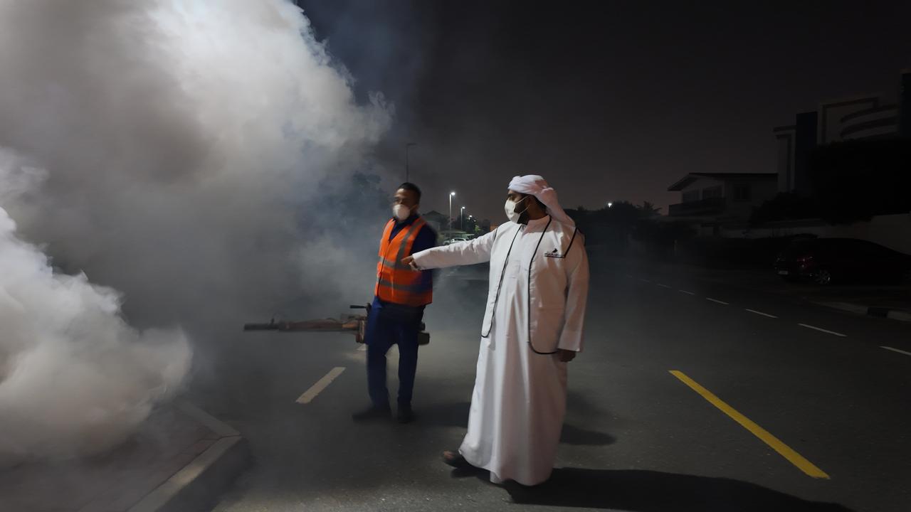 بلدية دبي مكافحة الحشرات: الأساليب والخدمات والتقنيات الحديثة