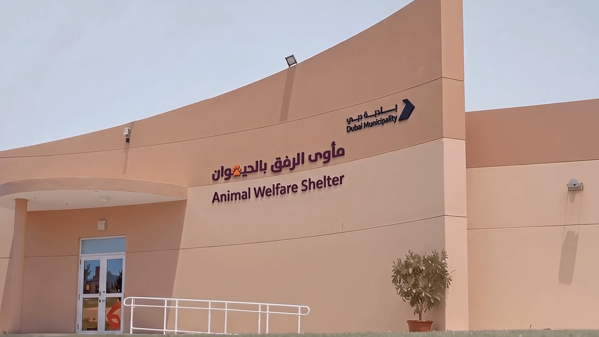 DM  Animal Shelter00001405Still005